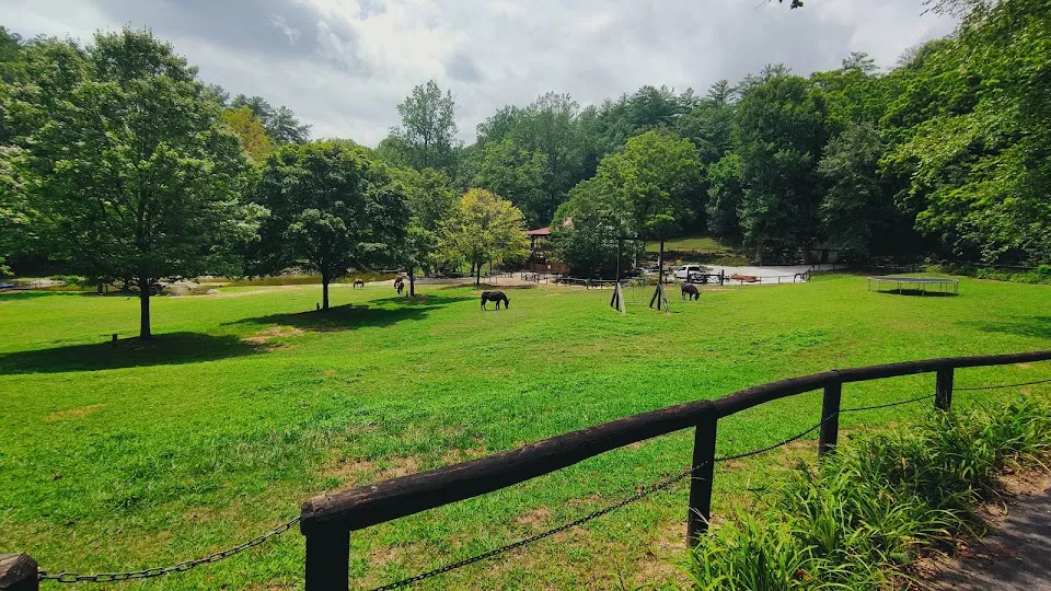 Satolah Creek Farm