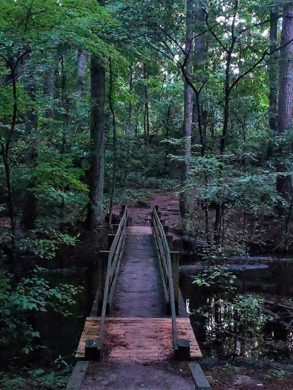 Dupree Park