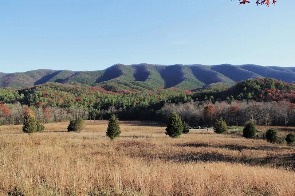 Brush Mountain East Wilderness