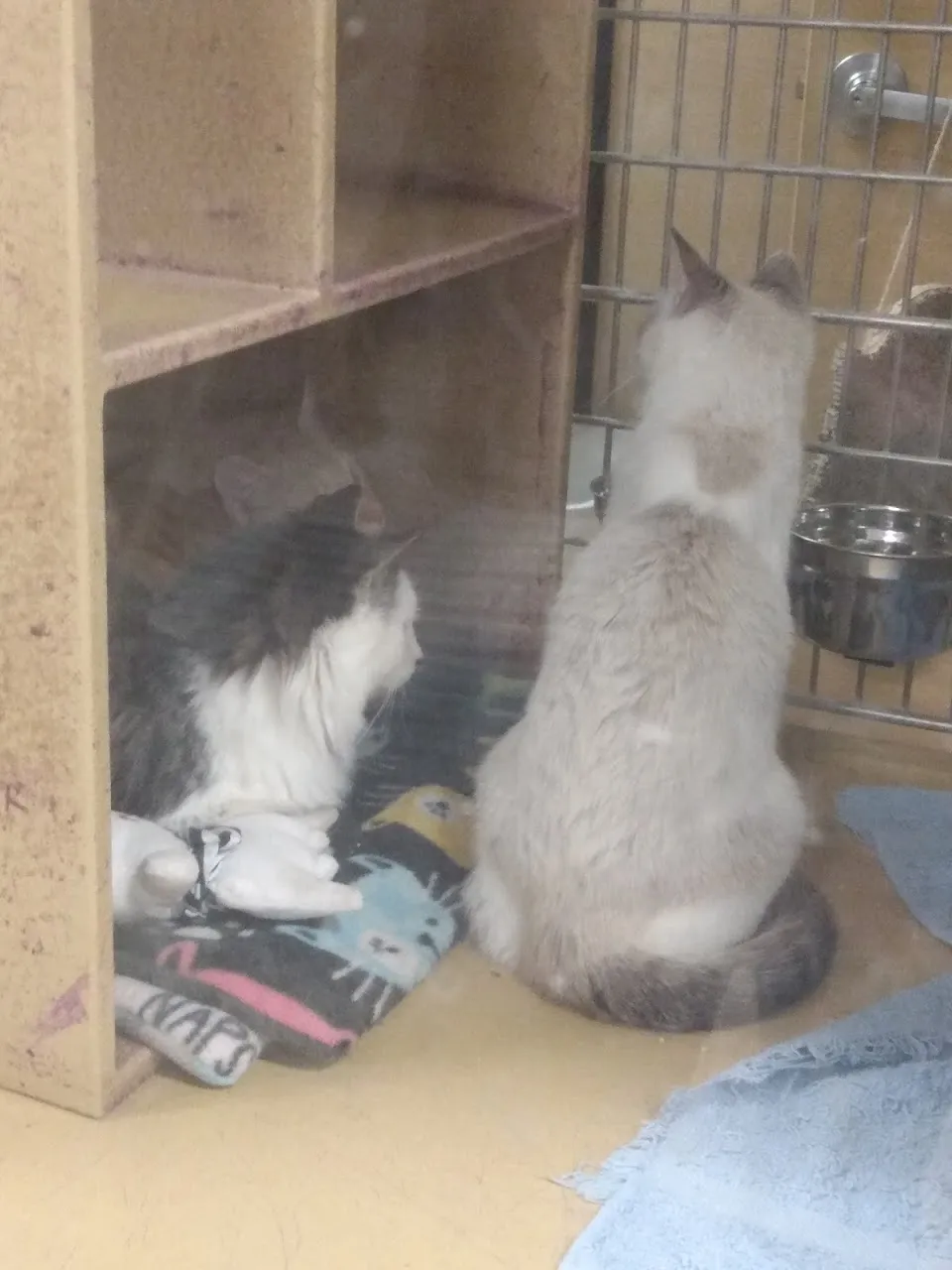 PetSmart