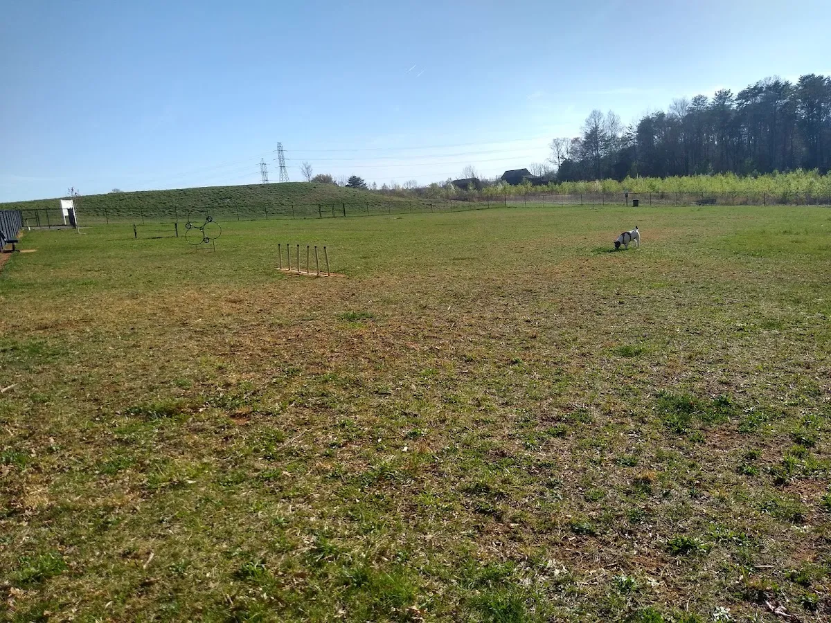 King Dog Park