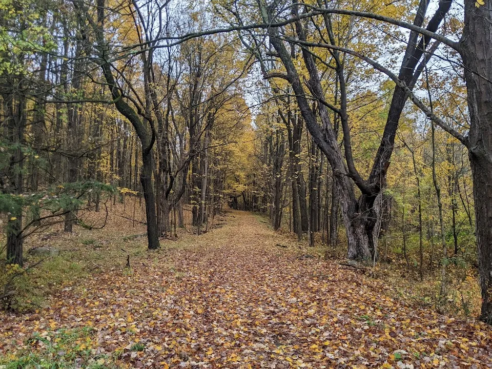 Goosepond Mountain State Park