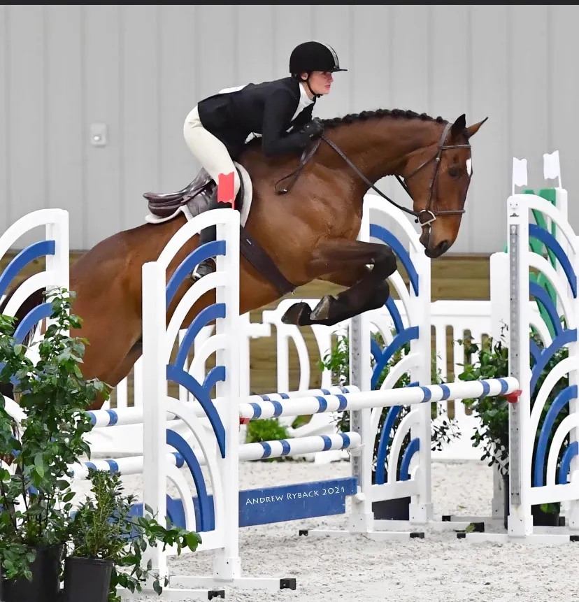Lone Palm Stables
