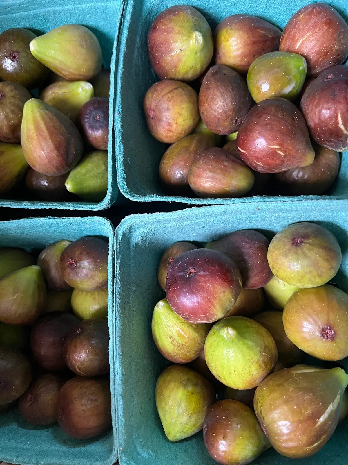 Habersham Locally Grown