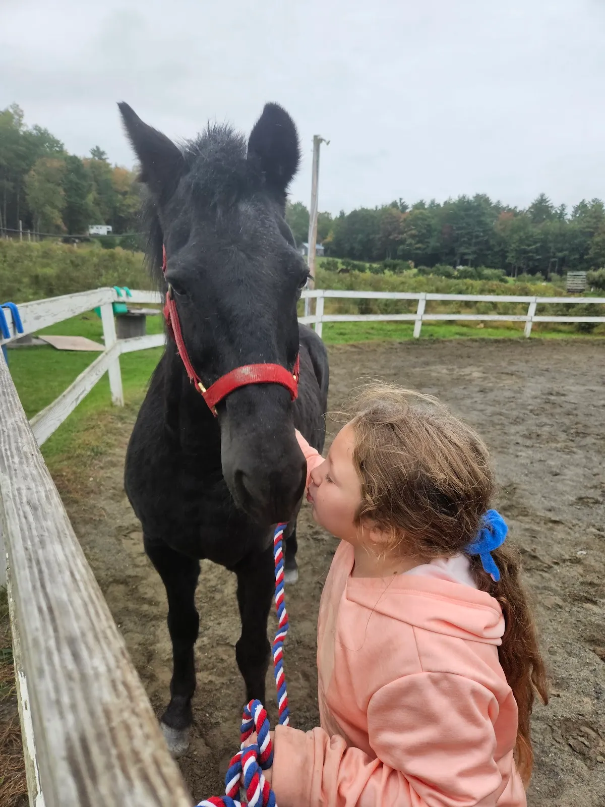 Kelleyville Horse Supply
