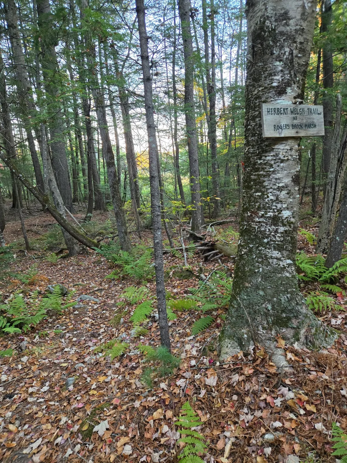 Herbert Welsh Trail Parking