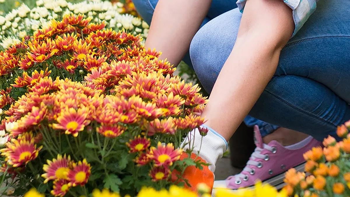 Garden Center at The Home Depot