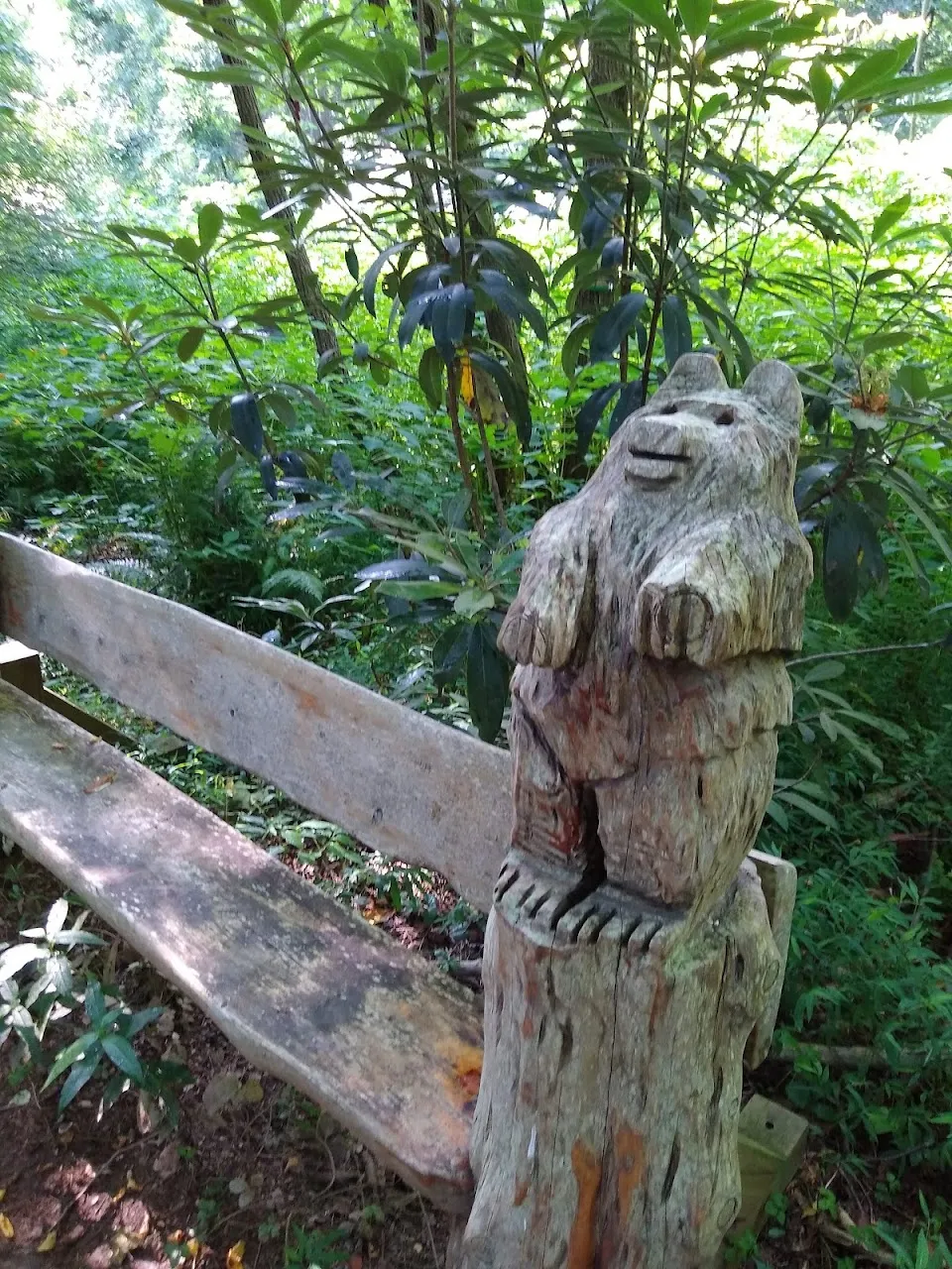 Stekoa Creek Park