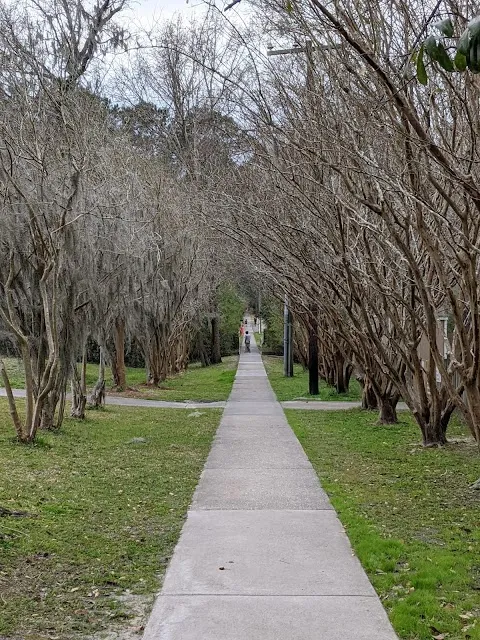 Church Trail - Summerville
