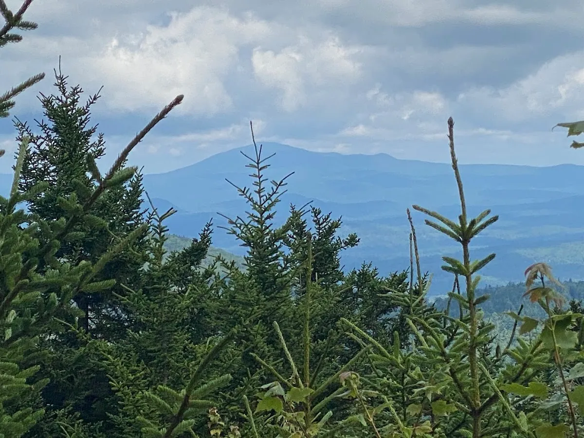 Lovewell Mountain Trail