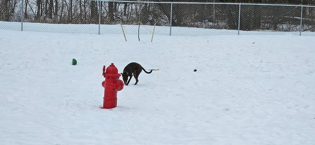 Newport Dog Park