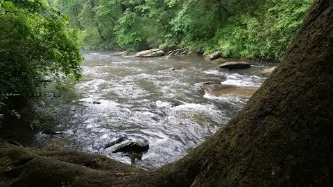 Cassidy Bridge