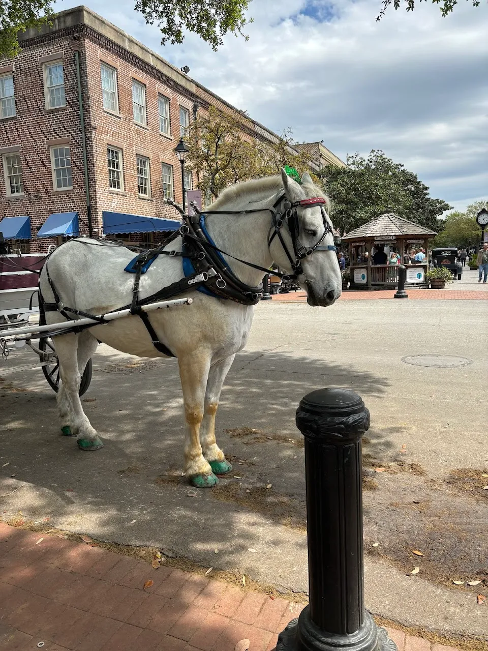 Carriage Tours of Savannah