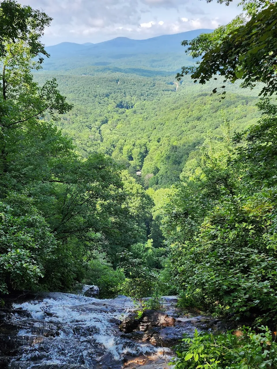 Chattahoochee-Oconee National Forest