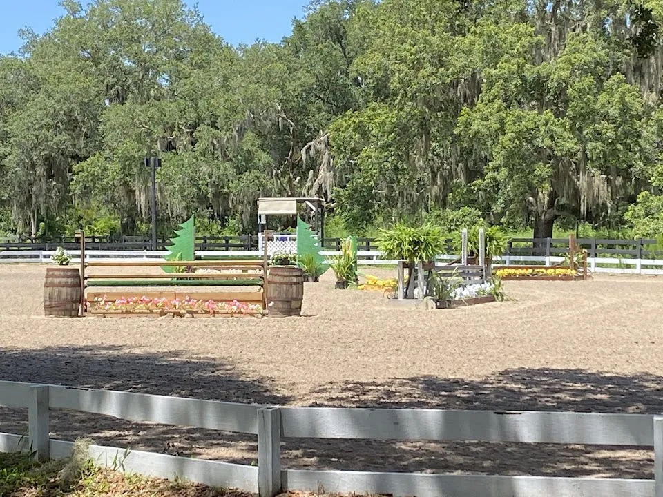 Canter Down Farms