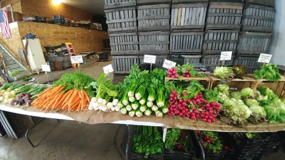 Bialas Farms