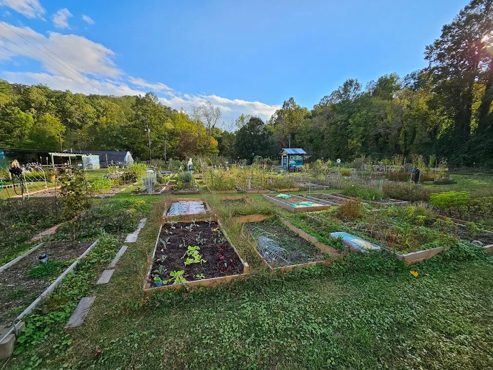 The Old School Garden