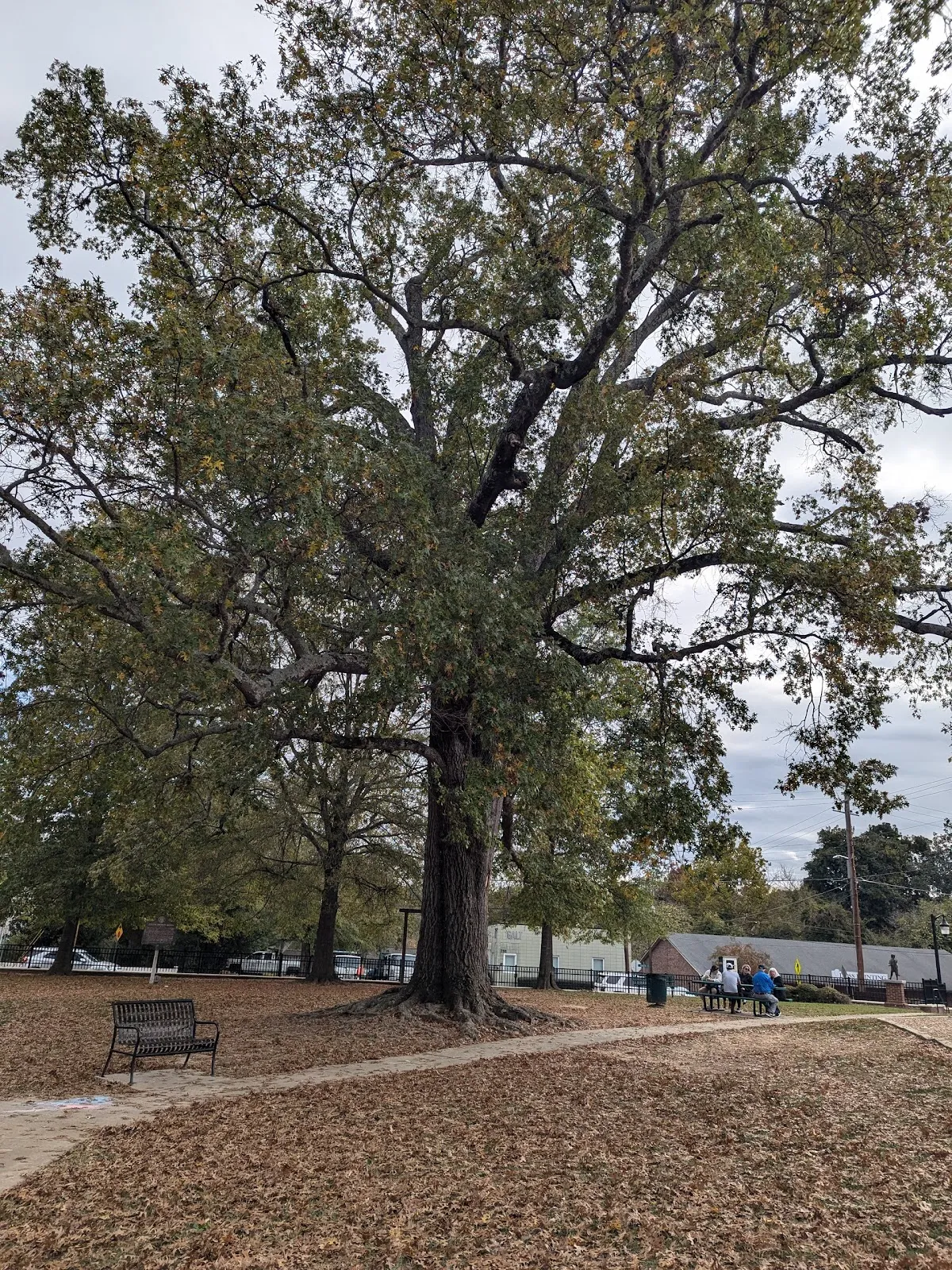 Brown Park