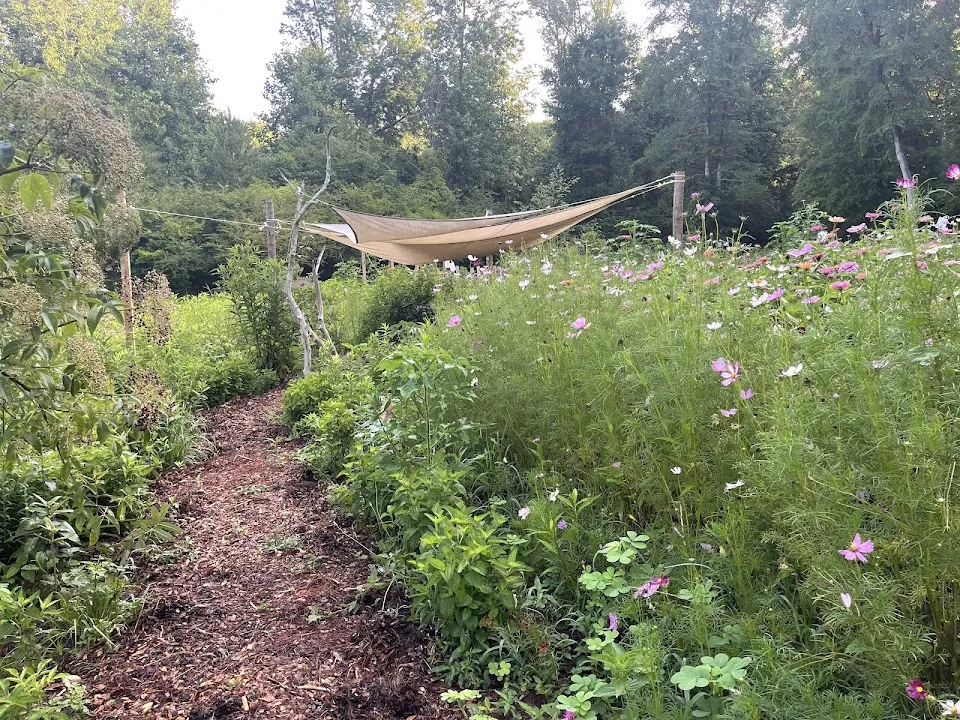 Butterflies & Blooms in the Briar Patch