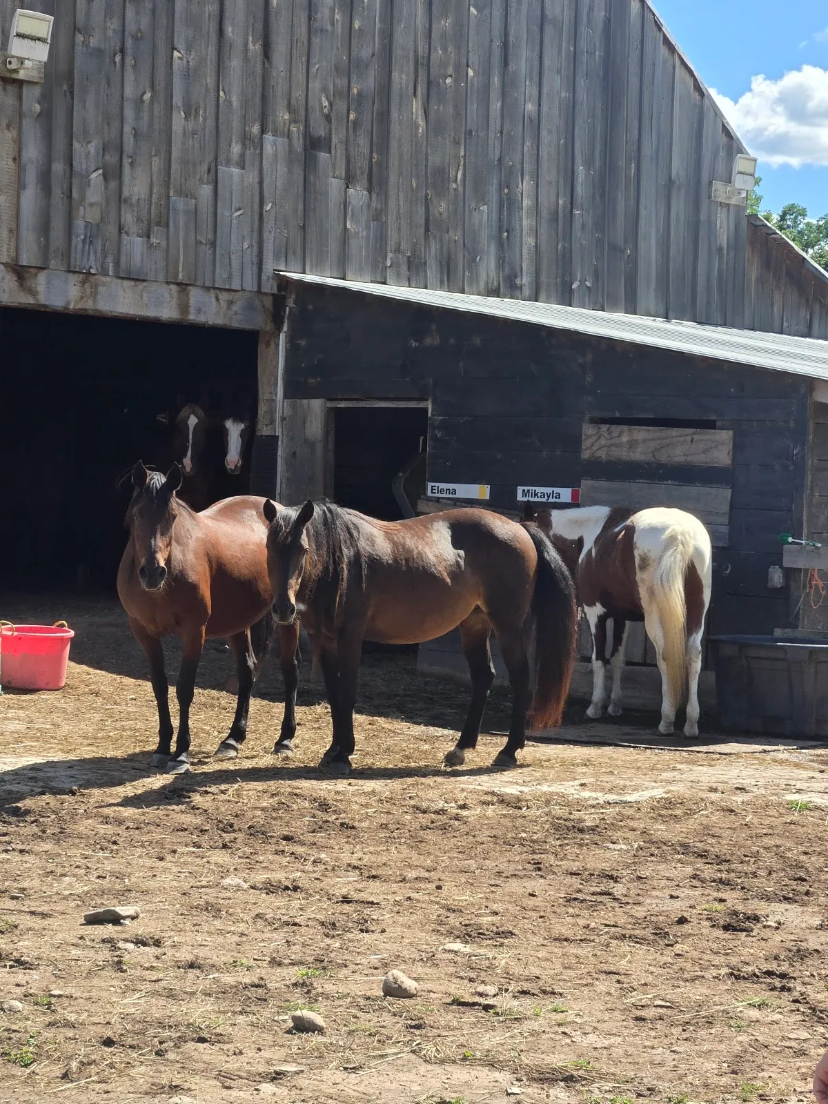Mustang Valley Sanctuary 501C3