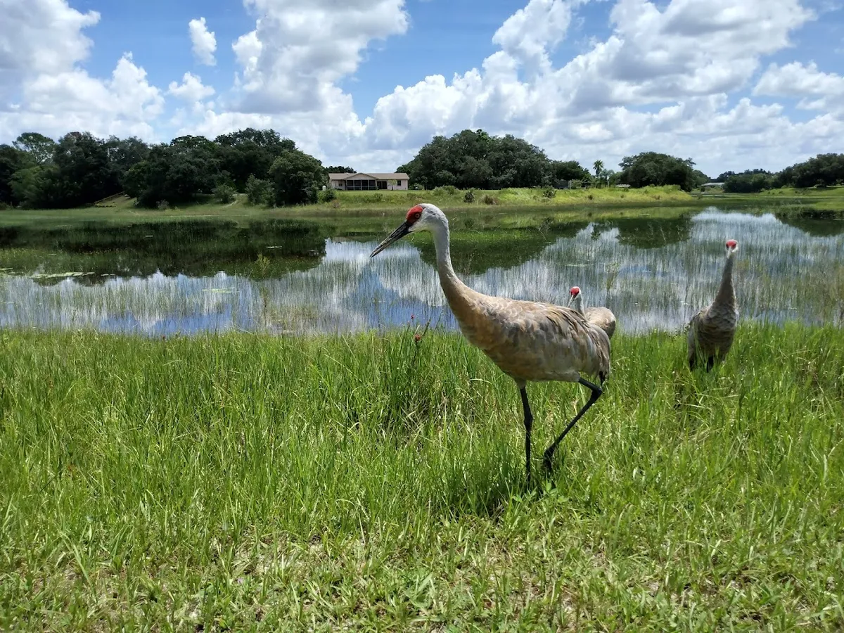 Delta Woods Park
