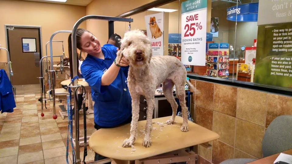PetSmart