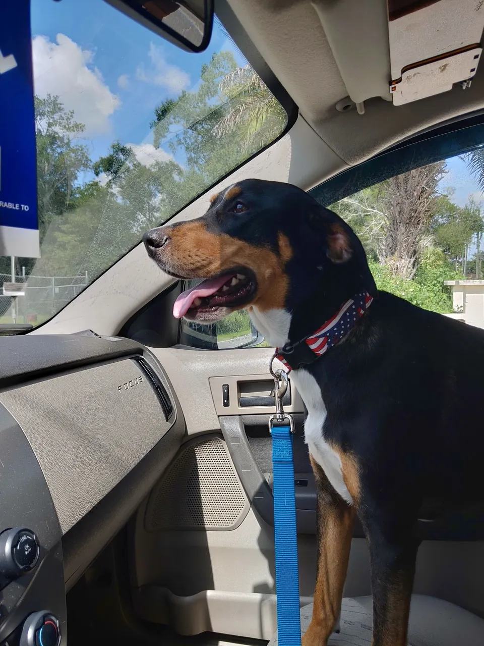 Southeast Volusia Humane Society