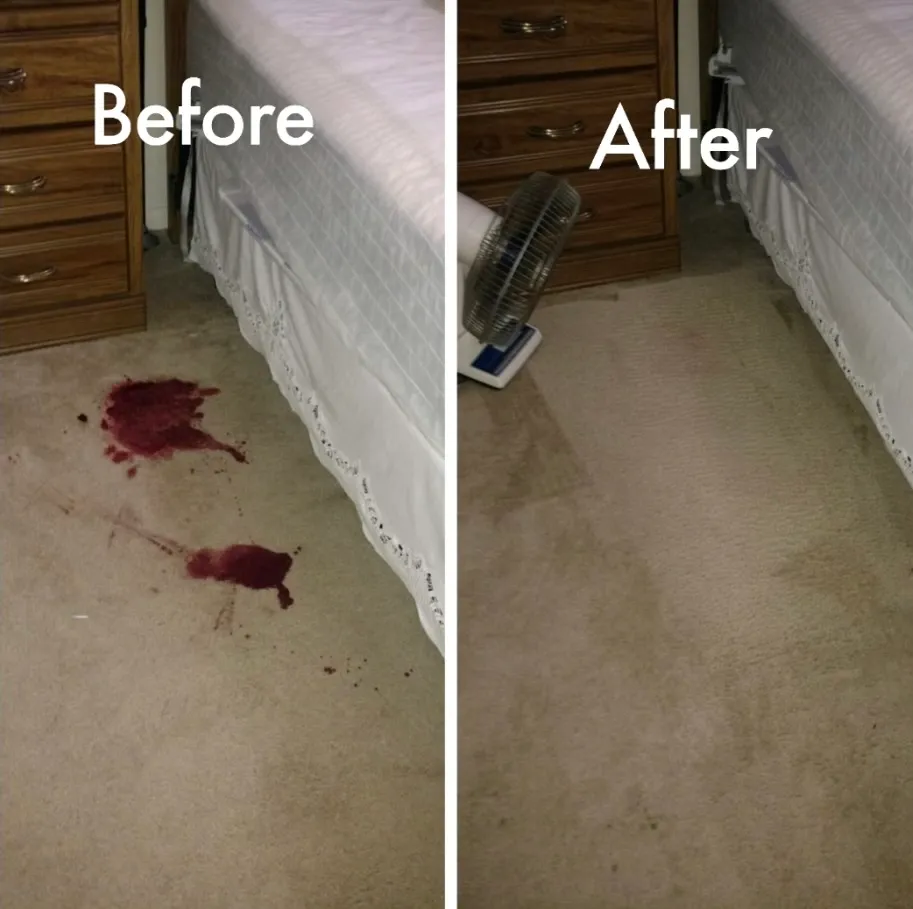 Quick Dry Carpet & Upholstery