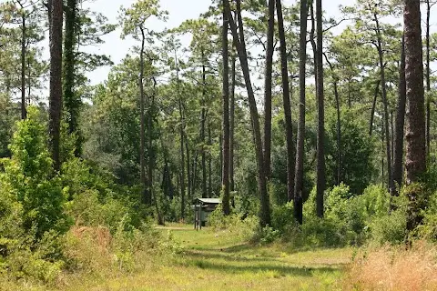 Big Pine Environmental Area