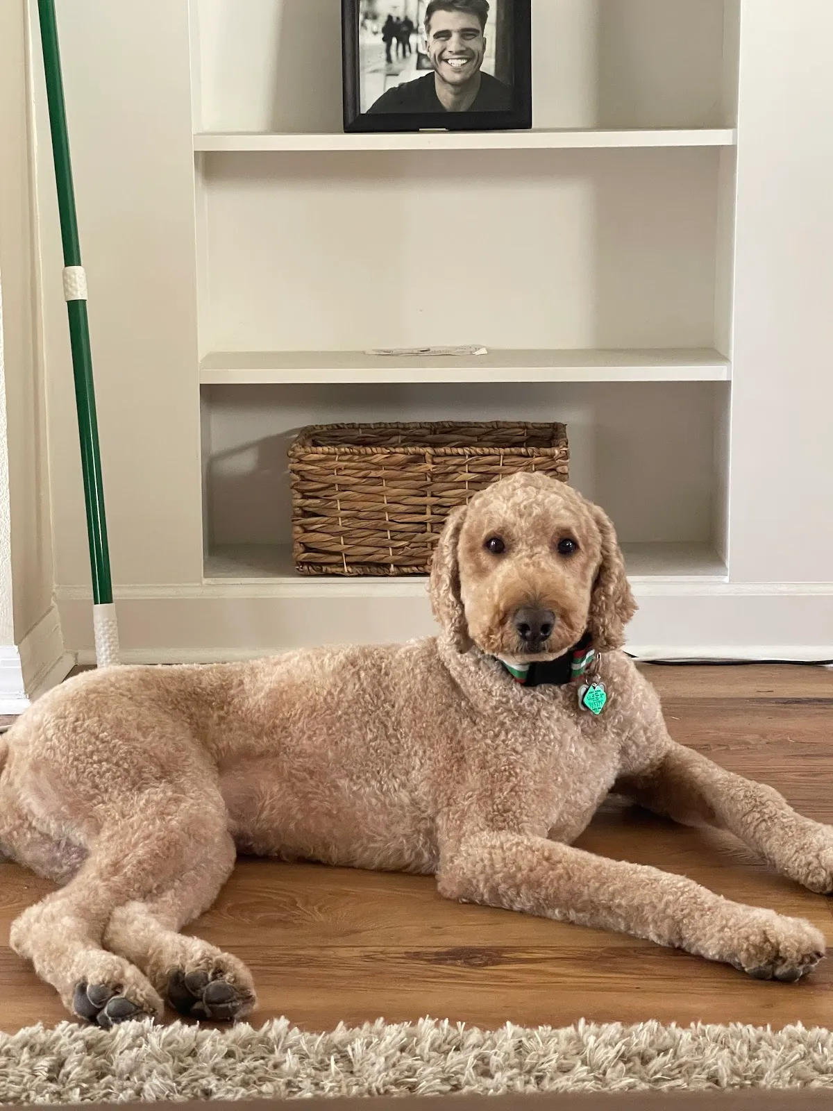 SARAHS DOG GROOMING STUDIO LLC