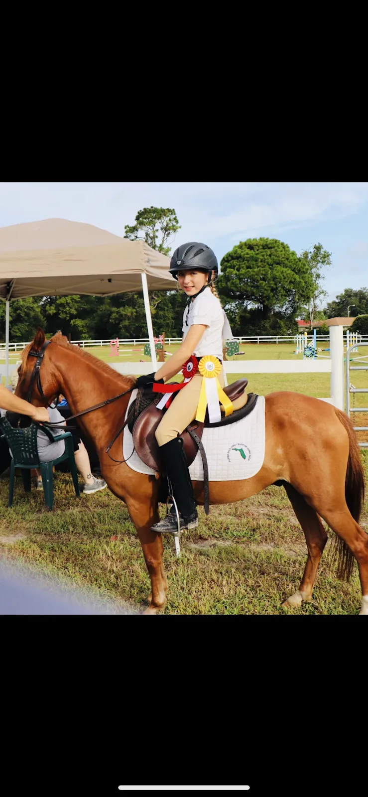 Lone Palm Stables