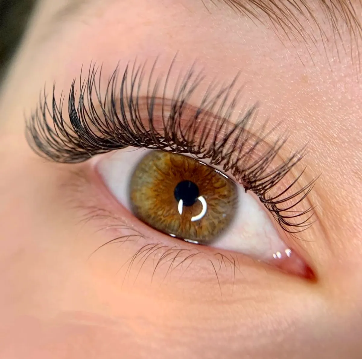 Trish's Lashes - Brows & Beauty Studio