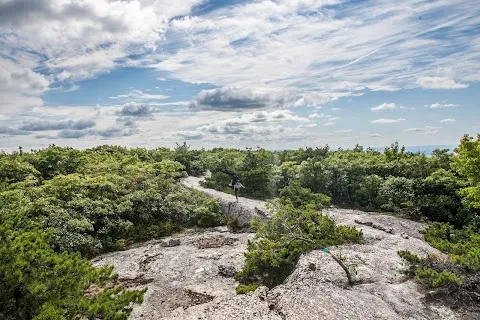 Schunnemunk Mountain Trail Head