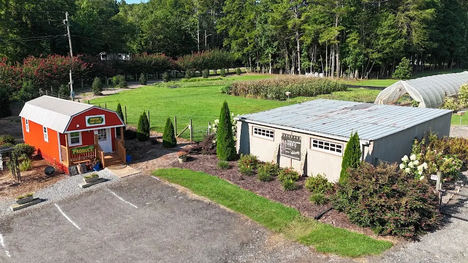 Holly Hill Farm and Goods