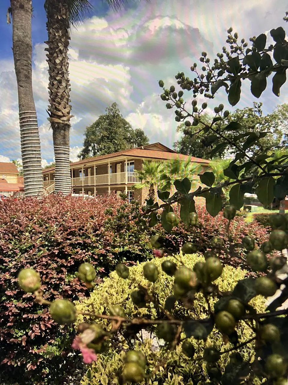 Savannah Inn and Suites Extended Stay