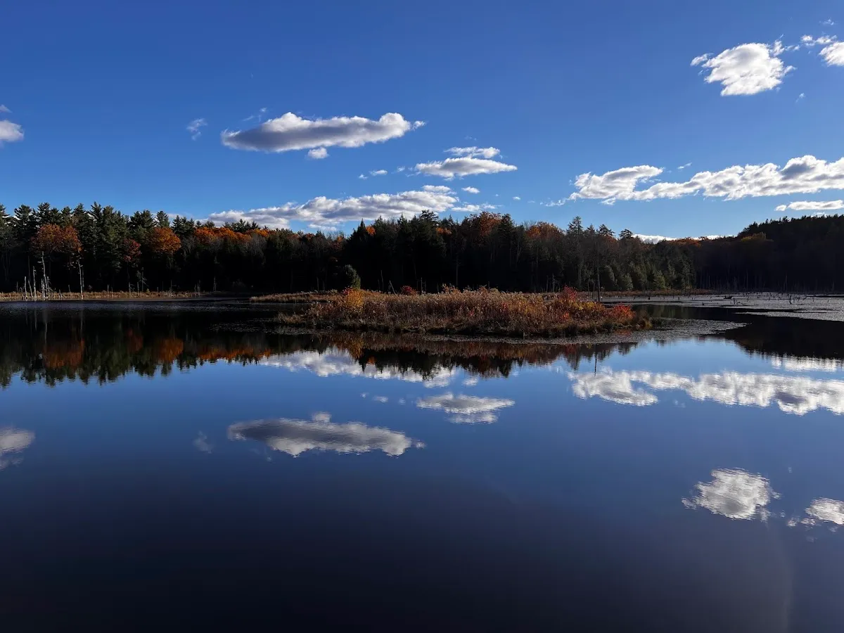Burnt-Rossman Hills State Forest