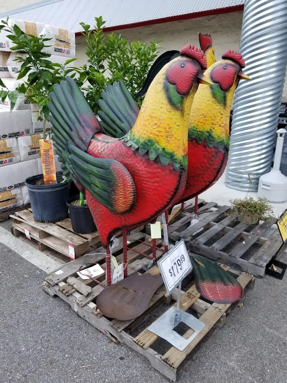 Tractor Supply Co.