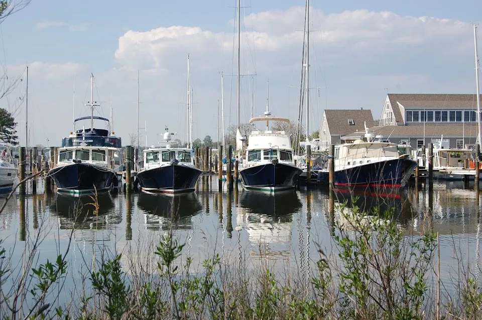 Hinckley Yacht Bachelors Point