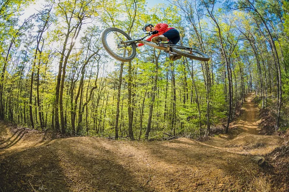 Stone-cutter's Hollow Trail Network