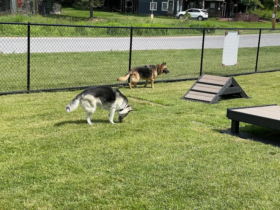 Dog Park