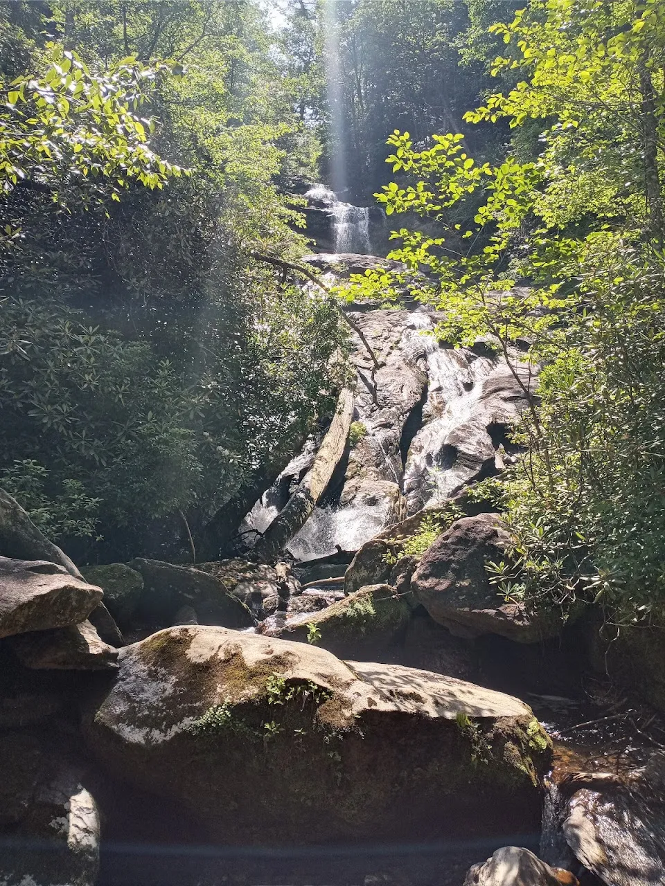 Holcomb Creek Falls Trail Head