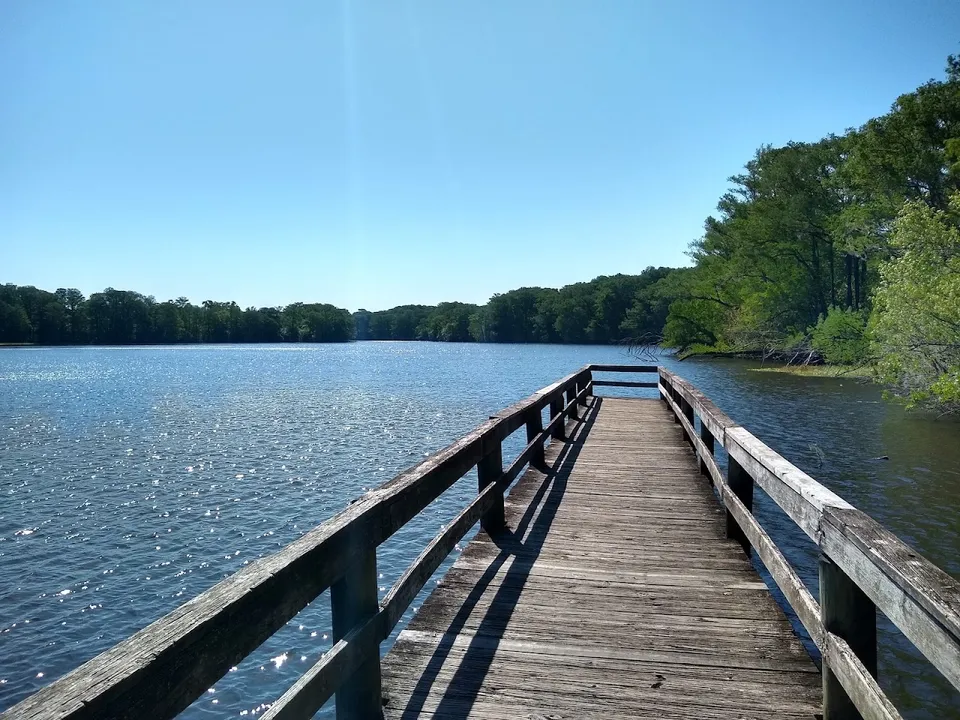 Lake Townsen Preserve