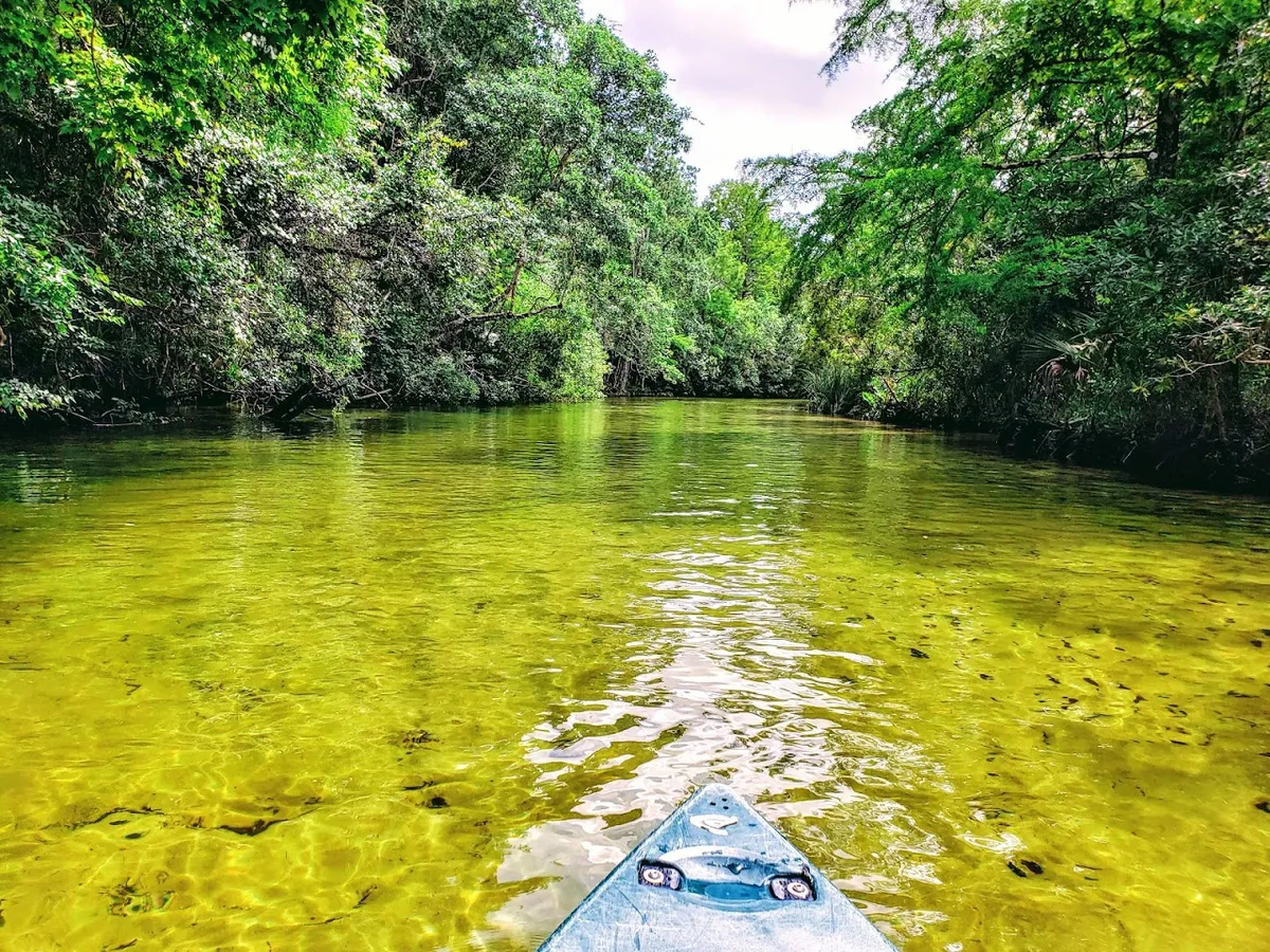Weeki Wachee Kayak & Canoe
