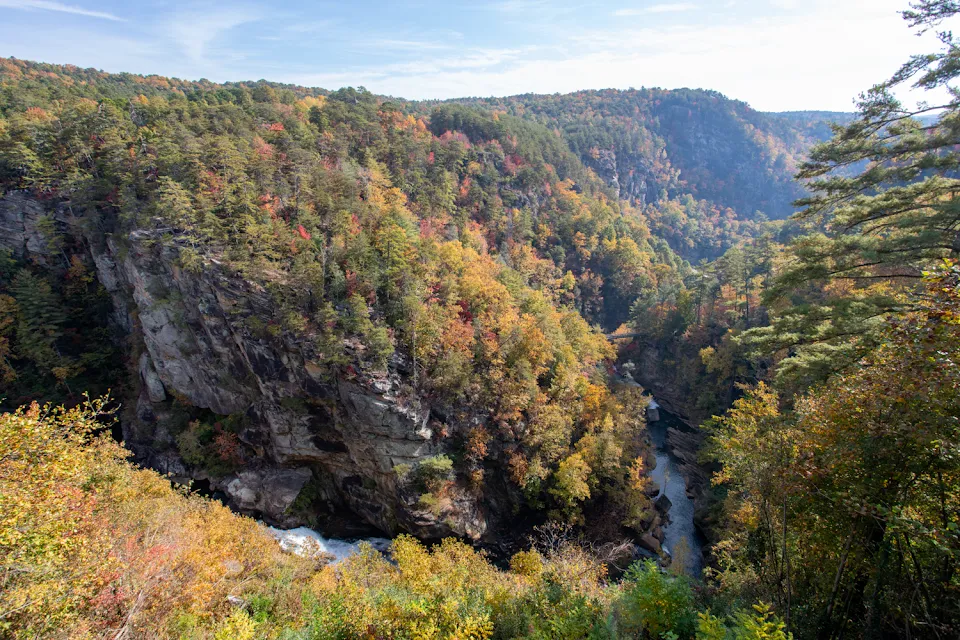 Overlook 6
