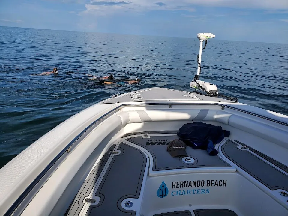 Hernando Beach Charters