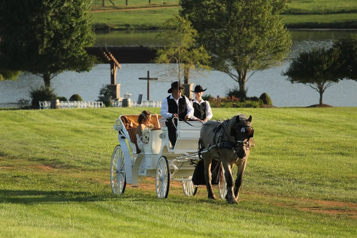 Dorvit's Camel City Carriage Rides