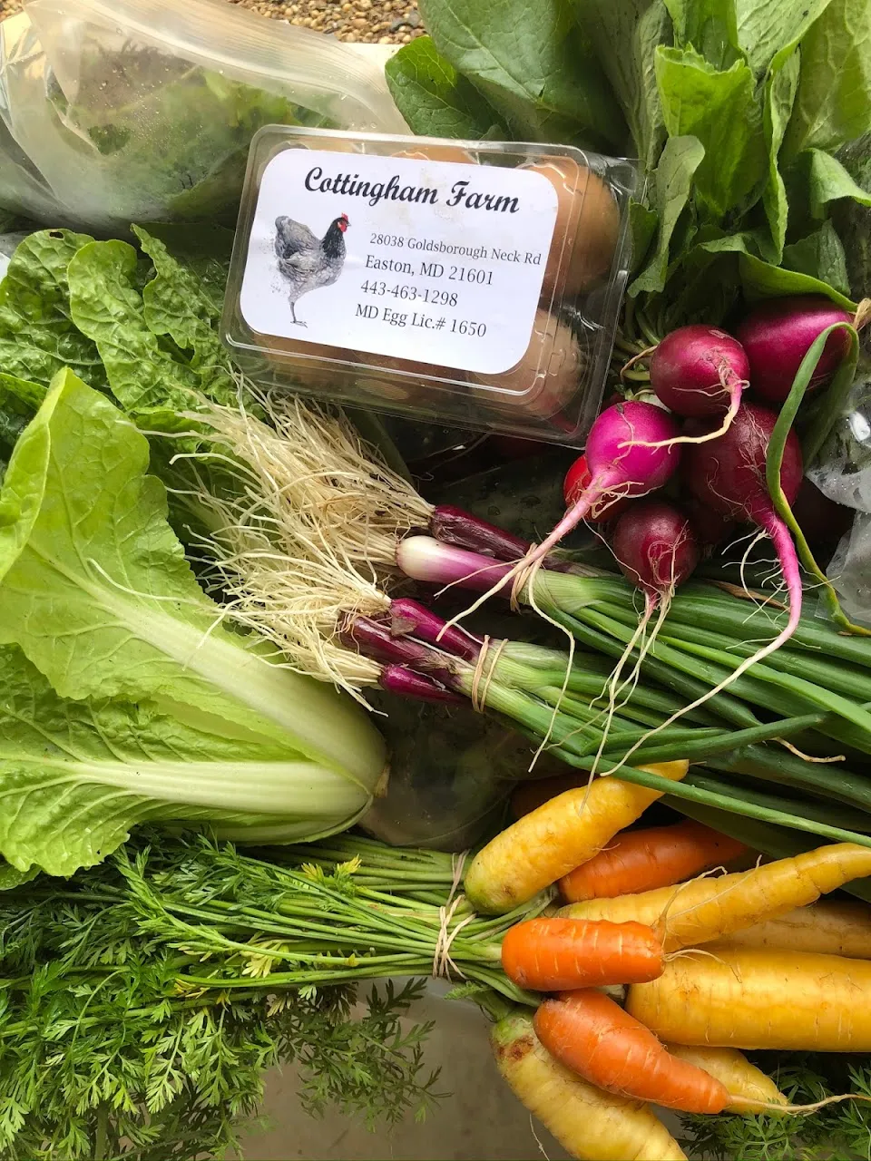 Cottingham Farm