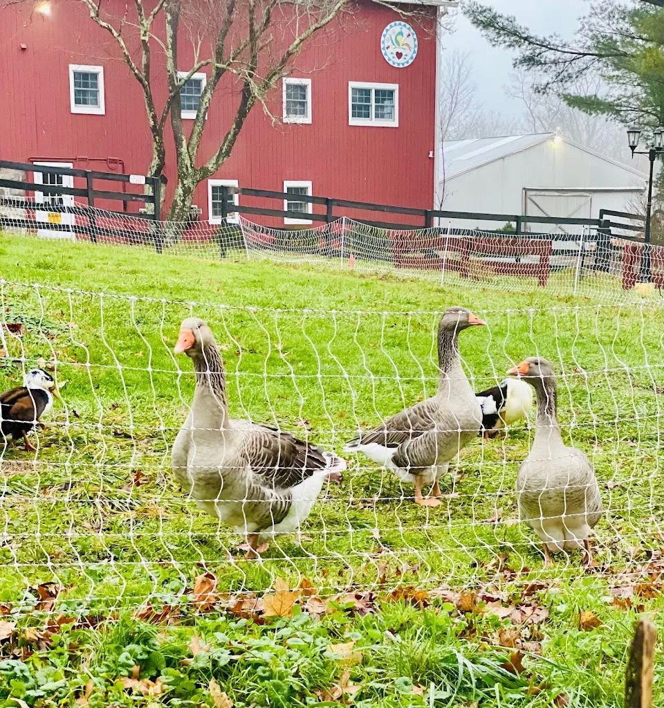 All One One All Farm