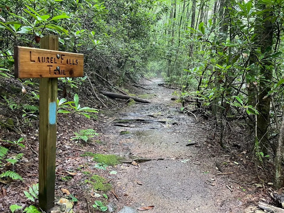 Big Laurel Falls