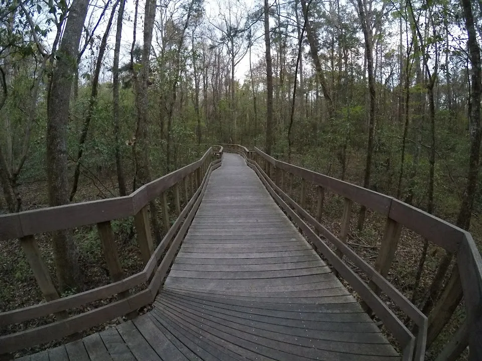 Audubon's Beidler Forest Sanctuary